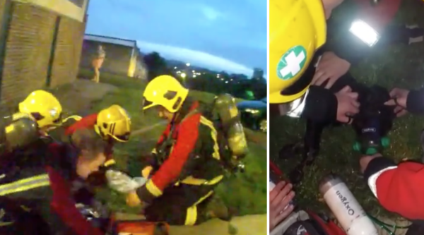 Unconscious Dog Pulled From Smoky Building Is Saved Thanks To New Firefighter Procedure