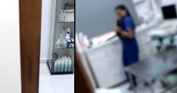 Veterinarians With Your Pet Once You Have Turned Your Back