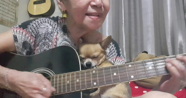 Woman Picks Up The Guitar To Serenade Her Dog, And He Cuddles Right Up
