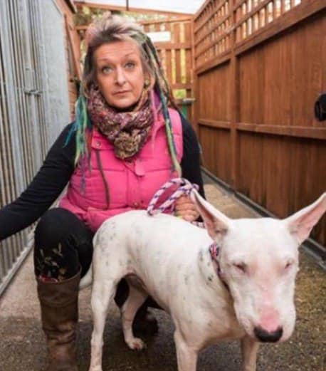 Woman thinks she married the love of her life until husband makes her choose between him and her dogs