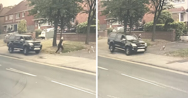 Woman’s Dog Jerks Her Out Of The Way Last Second To Save Her Life