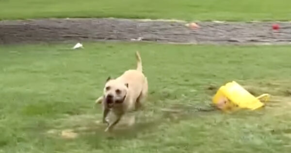 You Don’t Mind The Rain So Much When You’ve Been In The Shelter For 175 Days