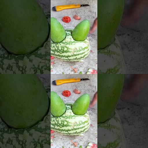 Maximizing Fruitful Fusion: Grafting Mangoes with Watermelons for Bountiful Harvests! #shorts