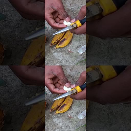 How about: Banana + Pineapple = Epic Fruit Fusion! #shorts