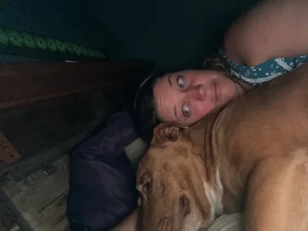 ‘Whose dog is this?’ Tennessee couple wakes up to find a mysterious dog in their bed