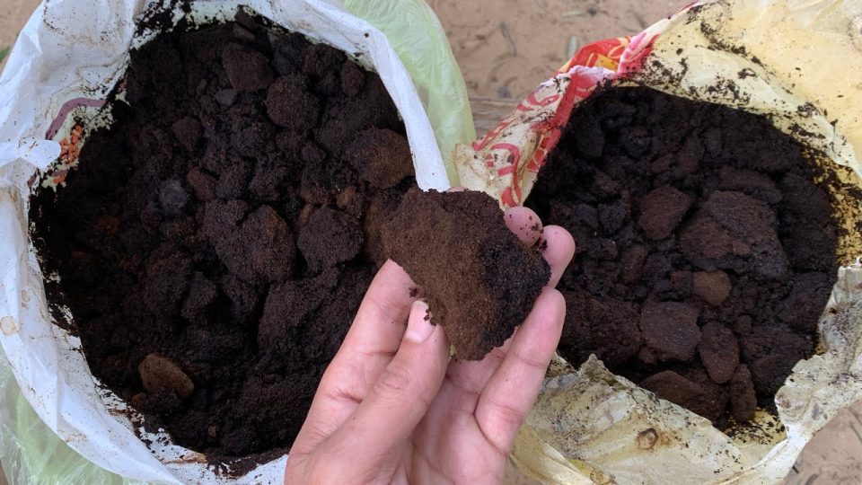 14 Nützliche Verwendungen von Kaffeesatz in Garten und Haus