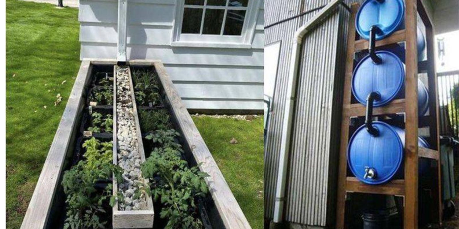 7 Fehler beim Sammeln von Regenwasser für Ihren Garten vermeiden