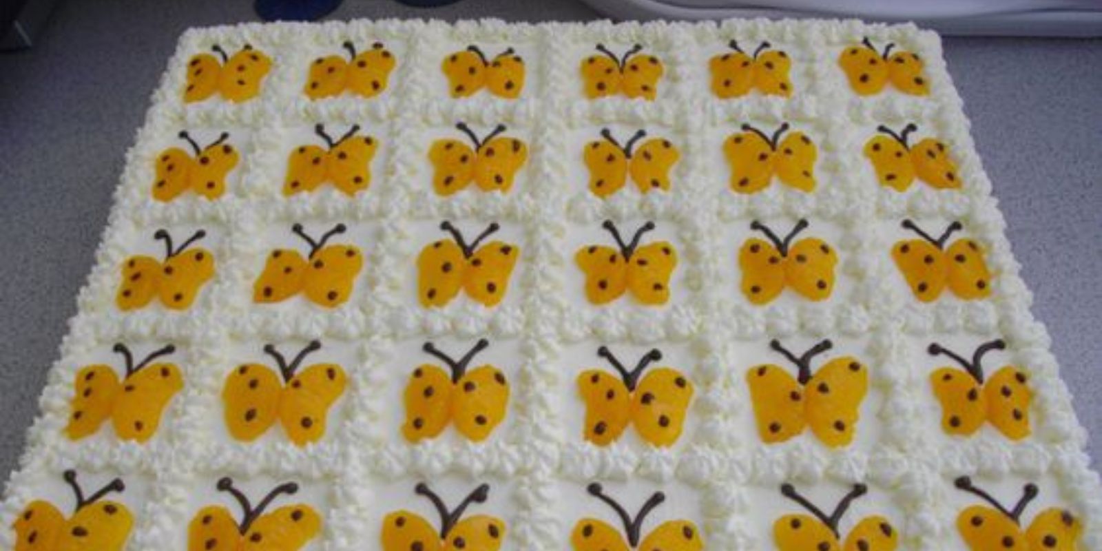 “Herbstlicher Genuss: Käse-Mandarinen-Blechkuchen mit fruchtiger Note”