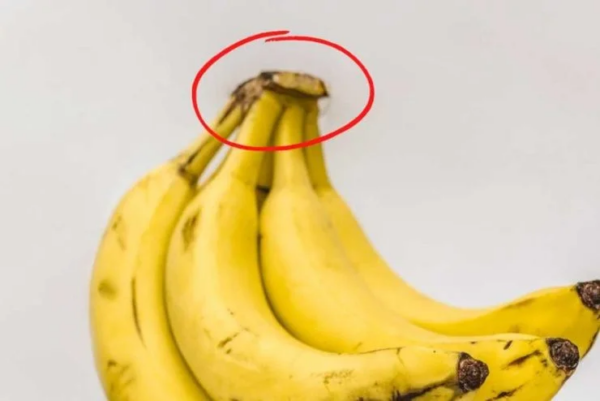 Bananenschale: Verschwende sie nicht! Es ist Gold wert