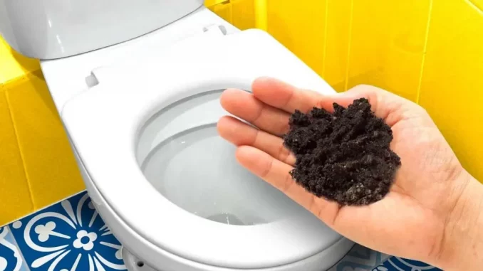 Beseitigen Sie den Uringeruch im Badezimmer und hinterlassen Sie einen guten Duft: 6 unfehlbare Tipps