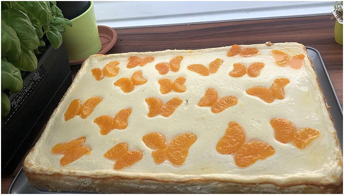 Blitz – Käsekuchen mit Mandarinen vom Blech