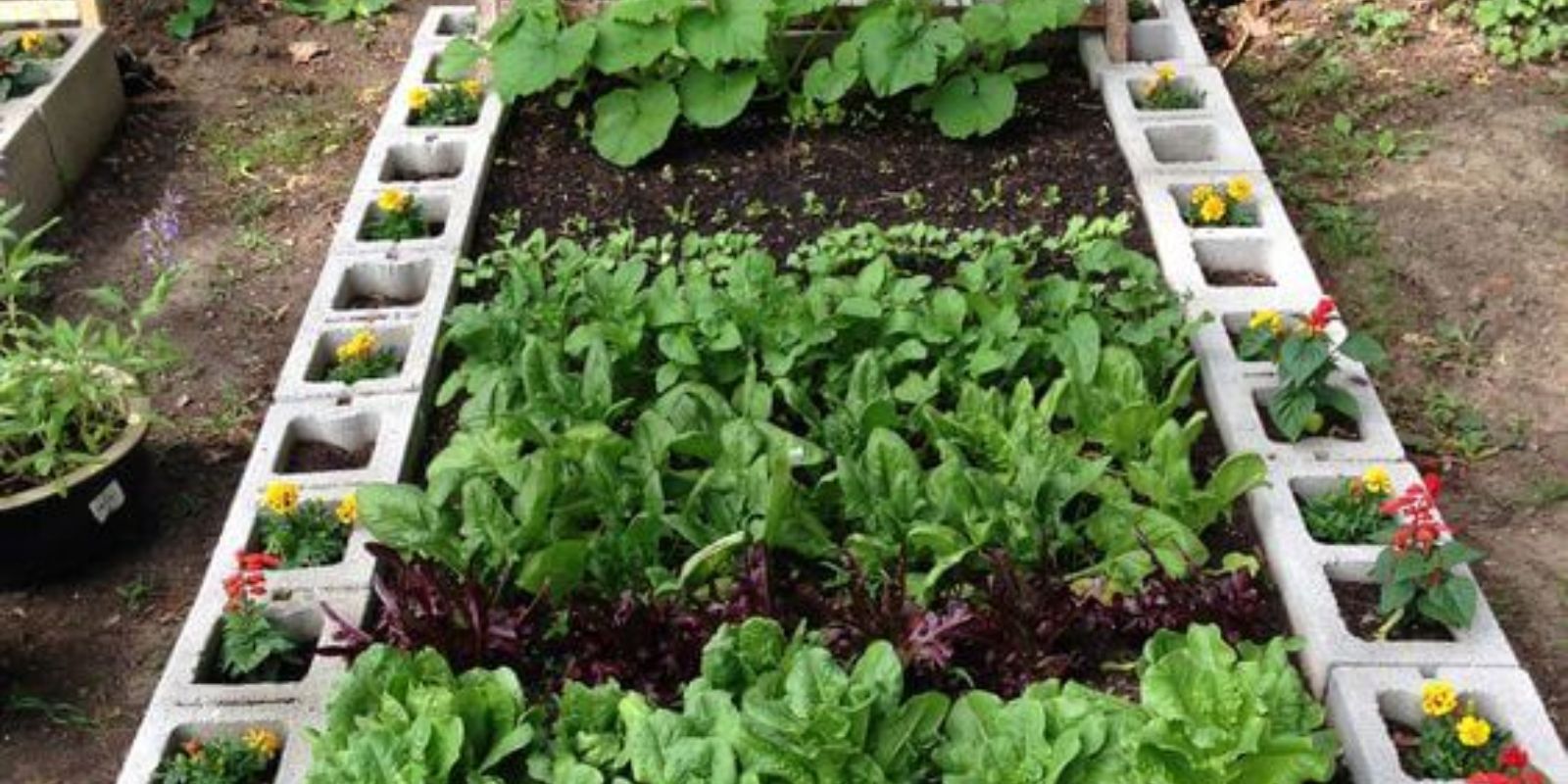 DIY-Ideen für Hochbeete aus leicht zu findenden Materialien: Kreativität im Garten erleben