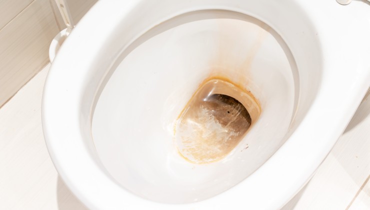 Wie Kalkstein entsteht Wie Kalkstein entsteht