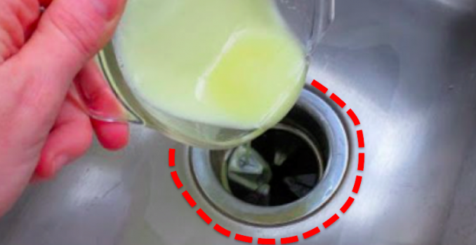 Das ist der Haushaltstipp der Woche: Nie wieder Gestank aus der Spüle