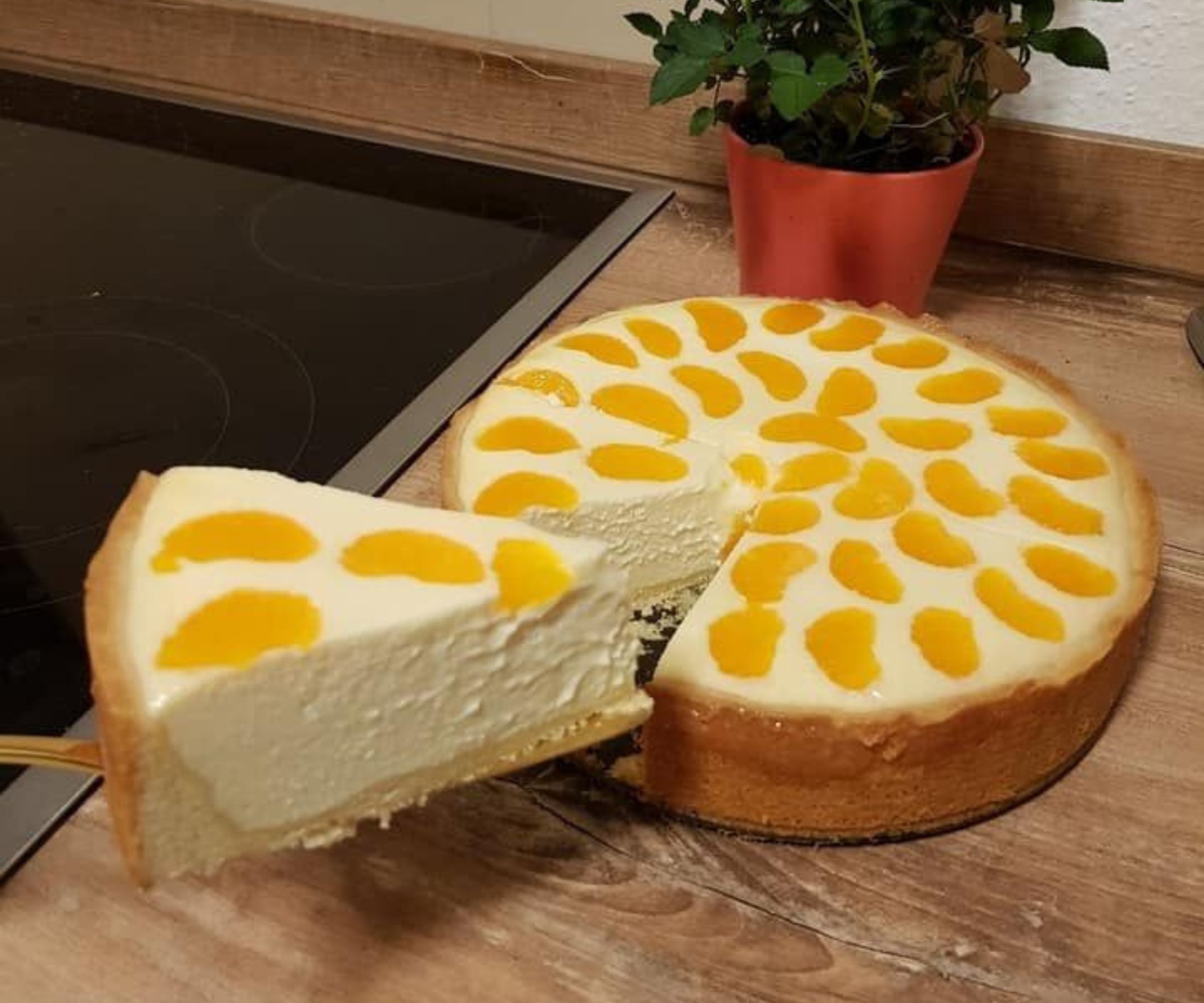 Der Klassiker neu interpretiert: Käsekuchen mit Mandarinen