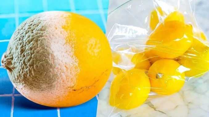 Der Trick, Zitronen 1 Jahr haltbar zu machen, kein Verrotten mehr, keine Notwendigkeit, sie wegzuwerfen