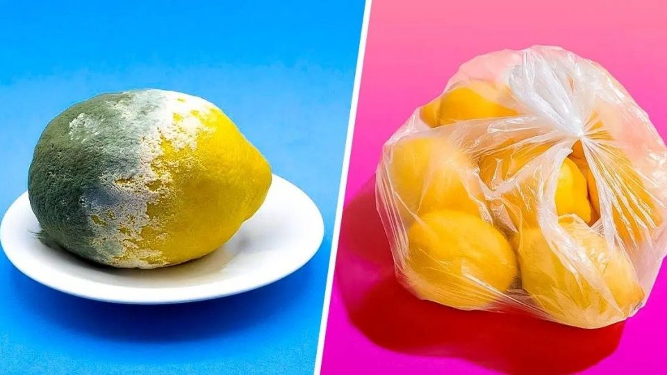 Der Trick, um Zitronen 3 Monate und länger zu lagern und zu verhindern, dass sie verrotten