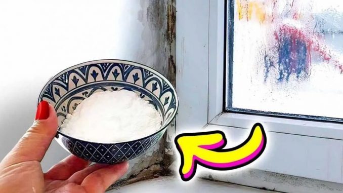 Der geniale Trick, Feuchtigkeit zu Hause zu beseitigen, sparsam, es funktioniert sehr gut