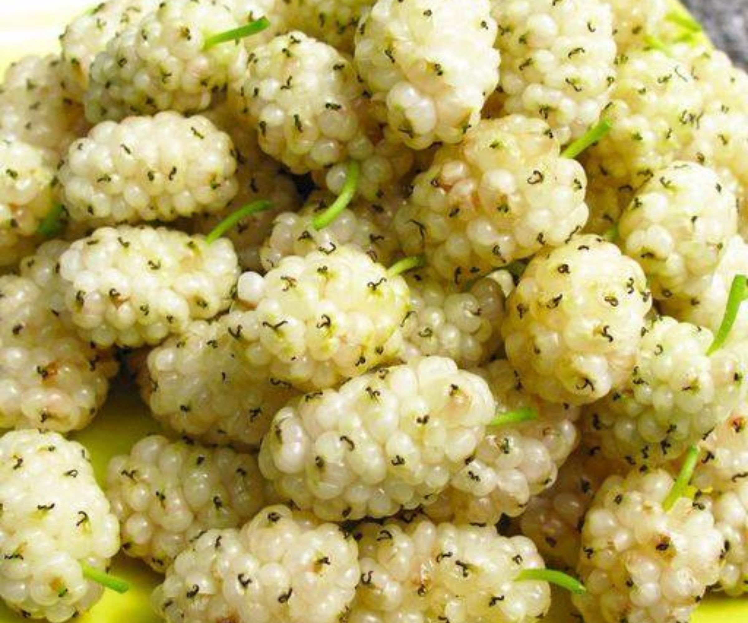 Die Gesundheitsvorteile von Haferflocken: Ein Superfood für Ihre Ernährung