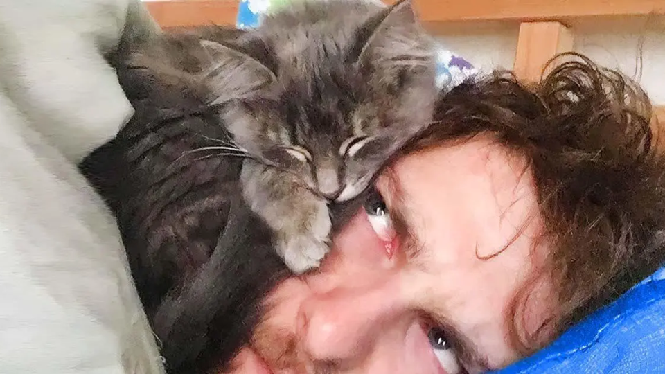 Die Katze lässt dich nachts nicht schlafen? Kein Problem: Hier ist der Trick, um ihn einzuschläfern