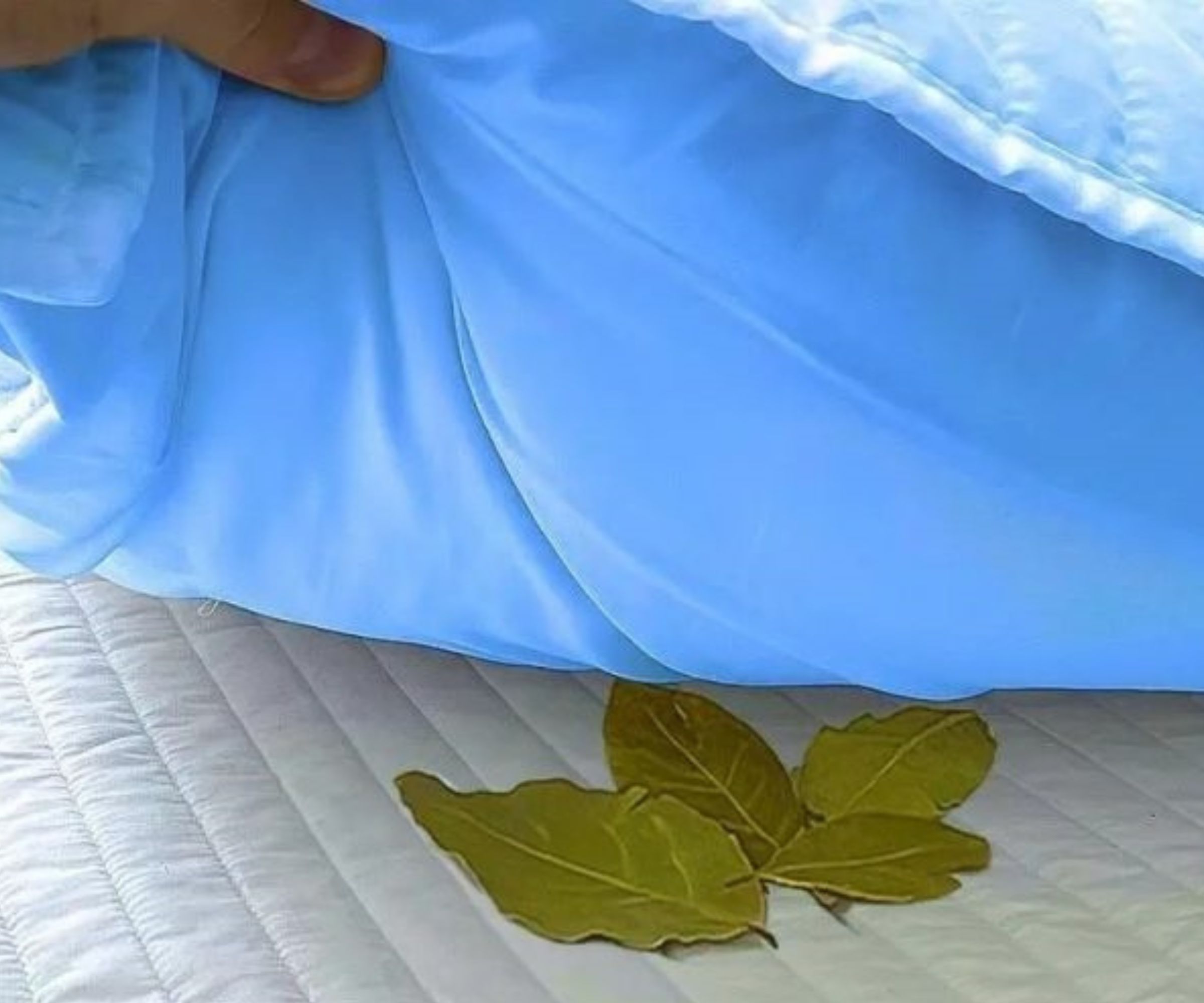 Die erstaunliche Wirkung von Lorbeerblättern unter dem Kopfkissen: Ein natürlicher Schlafbooster