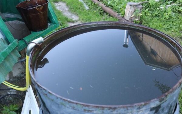 Dies ersetzt einen ganzen KAMAZ-Müllwagen. Ich verdünne diesen Dünger in einem 200-Liter-Fass und gieße ihn. Gemüse wird groß und gesund