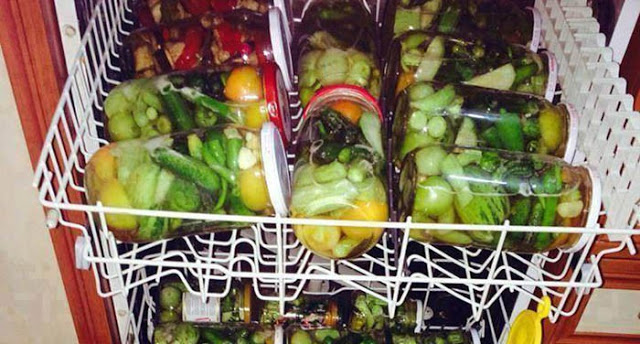 Ein genialer Tipp:Gewürzgurken im Geschirrspüler einkochen