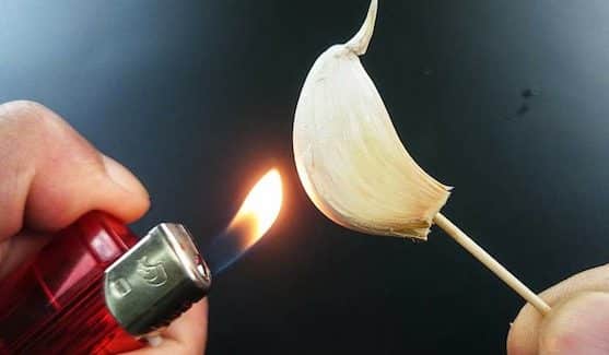 Eine Knoblauchzehe verbrennen, was nach 15 Minuten zu Hause passiert