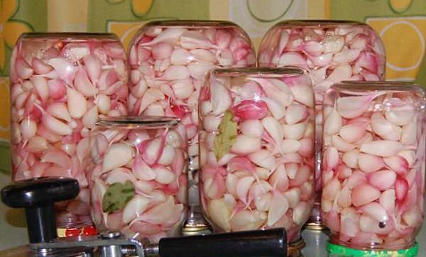 Eingelegter Knoblauch ohne Einmachen, der über das ganze Jahr genutzt werden kann und wie ein frischer ist