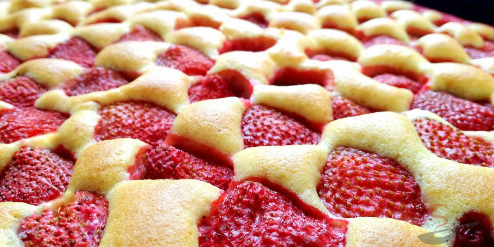 Erdbeer Biskuitkuchen