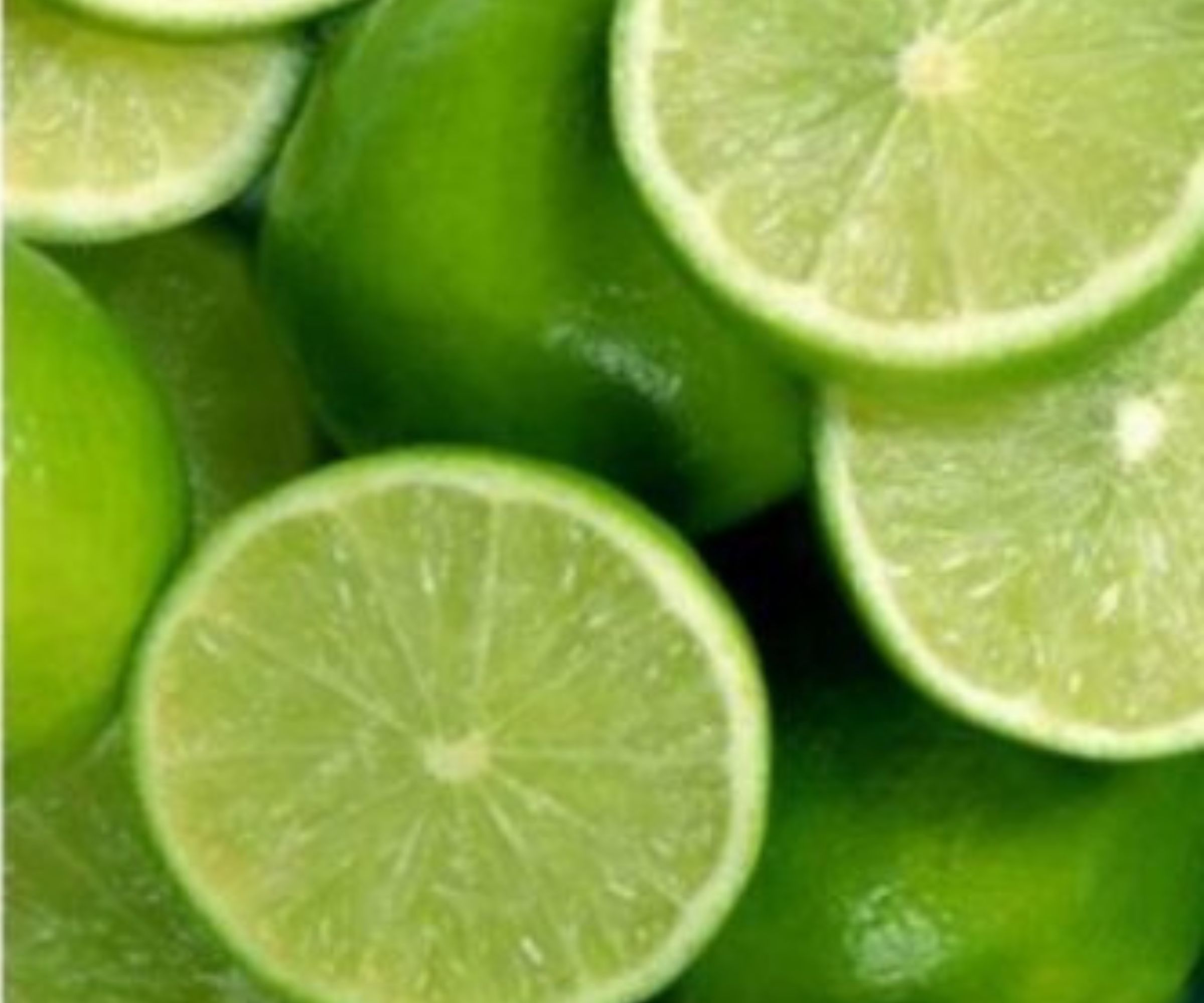 Erfahren Sie, wie Sie eine Zitrone in eine Tasse pflanzen, damit Ihr Zuhause gut riecht: Natürliche Luftreinigung und erfrischende Aromen