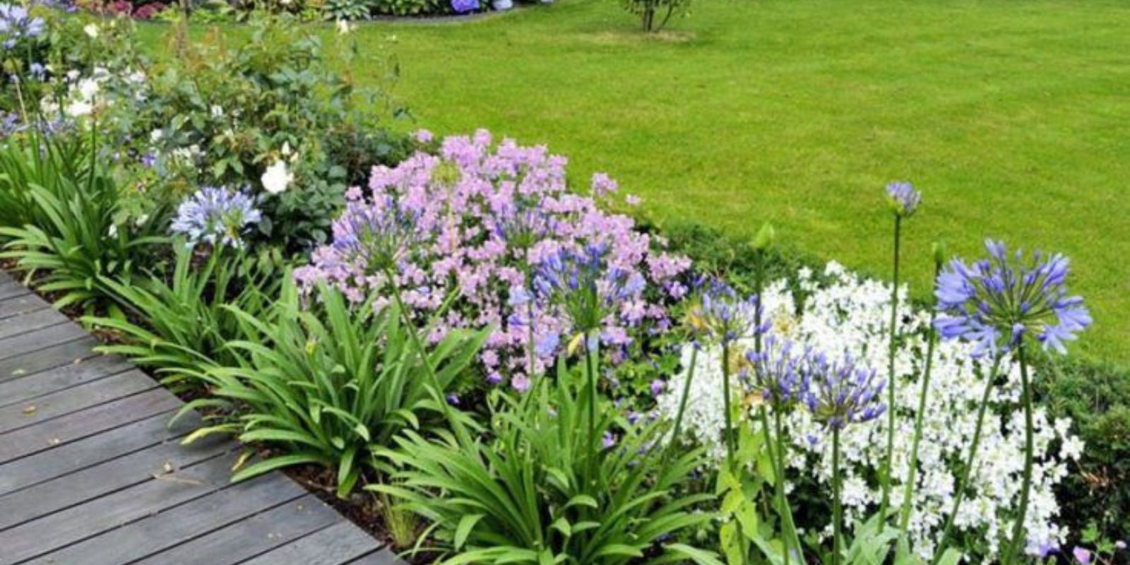 Erstellen Sie einen produktiven und schönen Garten