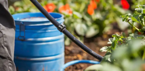 Erstellen eines effizienten Tropfbewässerungssystems mit Fass und Schlauch