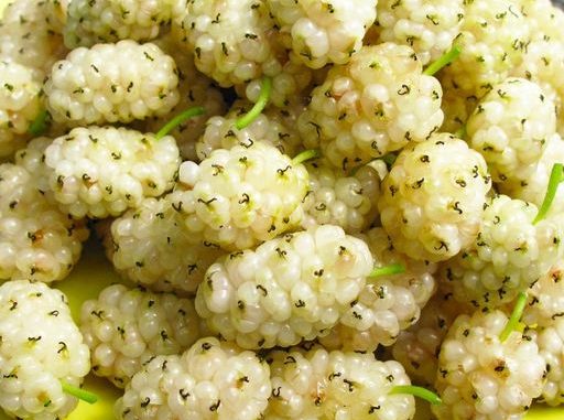 Es hält Cholesterin und Diabetes unter Kontrolle, lindert Entzündungen und fördert die Verdauung. So nehmen Sie es ein