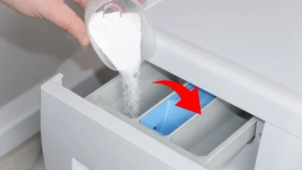 Farbige Erfassungsbögen, verschwenden Sie kein Geld: bereiten Sie sie zu Hause kostenlos vor.