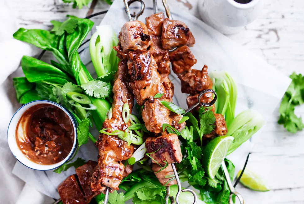 Flinkes Filet für Spießer mit Saté-Soße