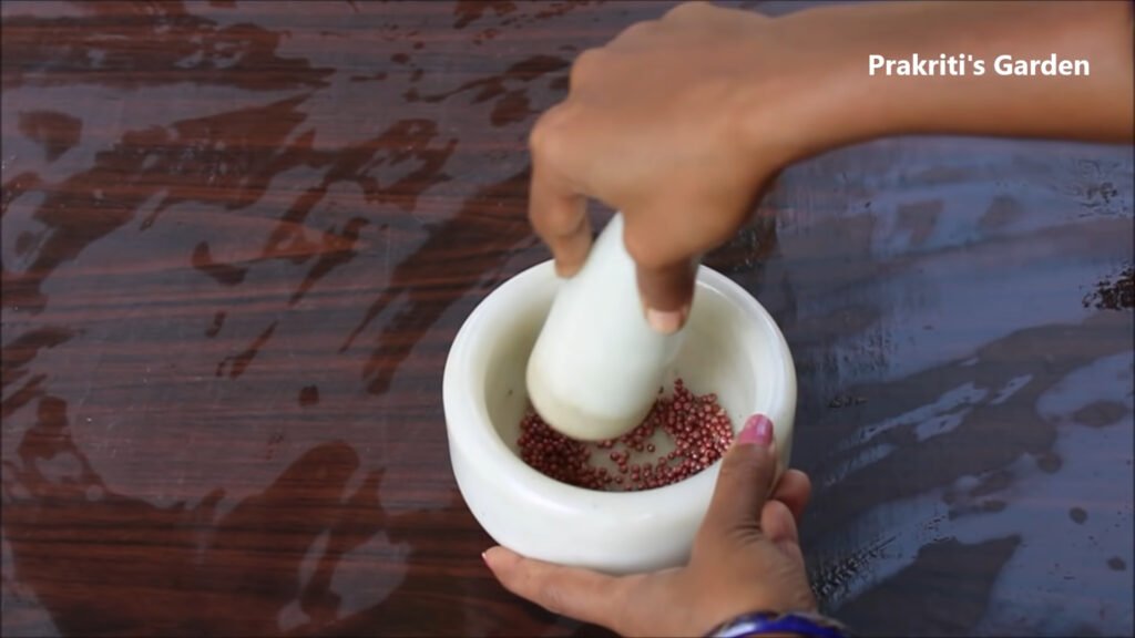 Grow Coriander at home in water Dhaniya उगाने का सबसे आसान तरीका Coriander in hydroponic system