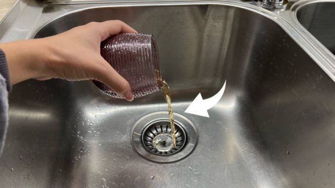 Gießen Sie 1 Glas Essig in die Spüle, tun Sie es einmal im Monat: es ist sehr wichtig