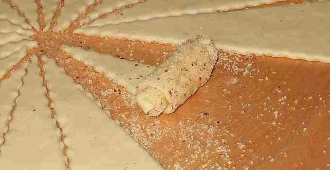 Haselnuss Hörnchen, schmecken am nächsten Tag noch besser!