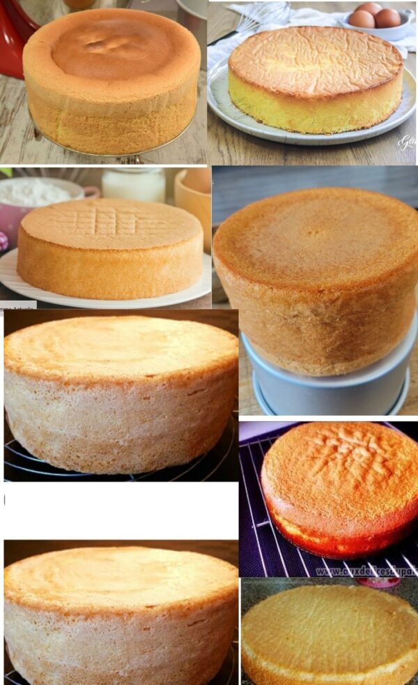 Hoher und leichter Biskuit Das ist wirklich unschlagbar