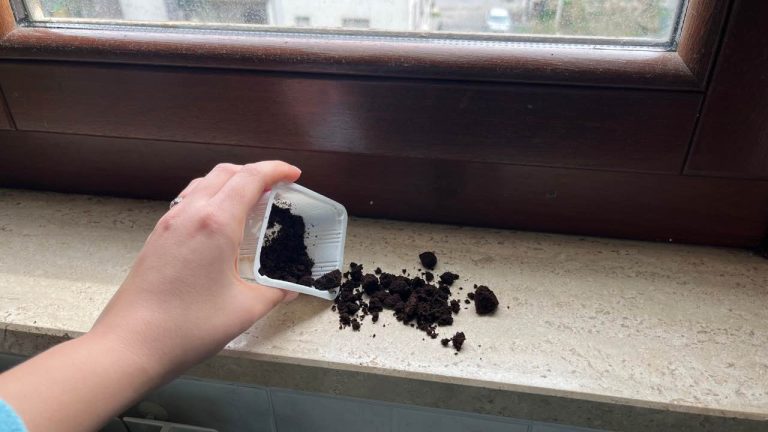 Kaffeesatz auf Fensterbänken: löst ein sehr häufiges Problem