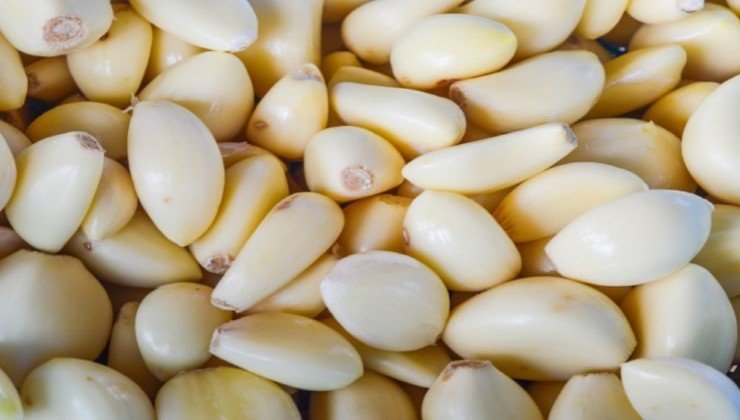 Geschälte Knoblauchzehen