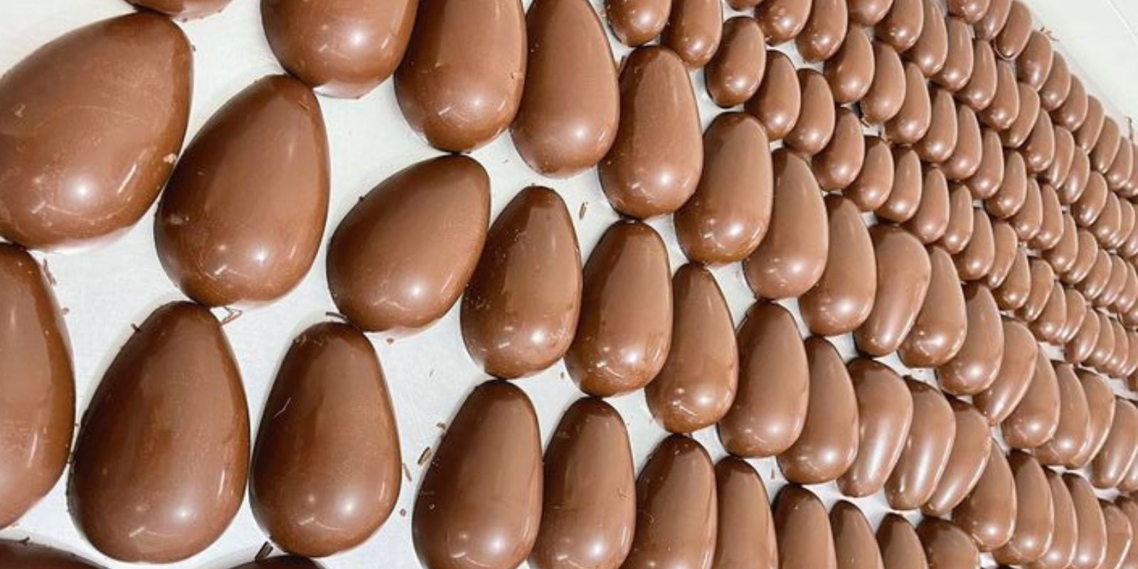Kokosnuss und Schokolade sind sie perfekt für Ostern