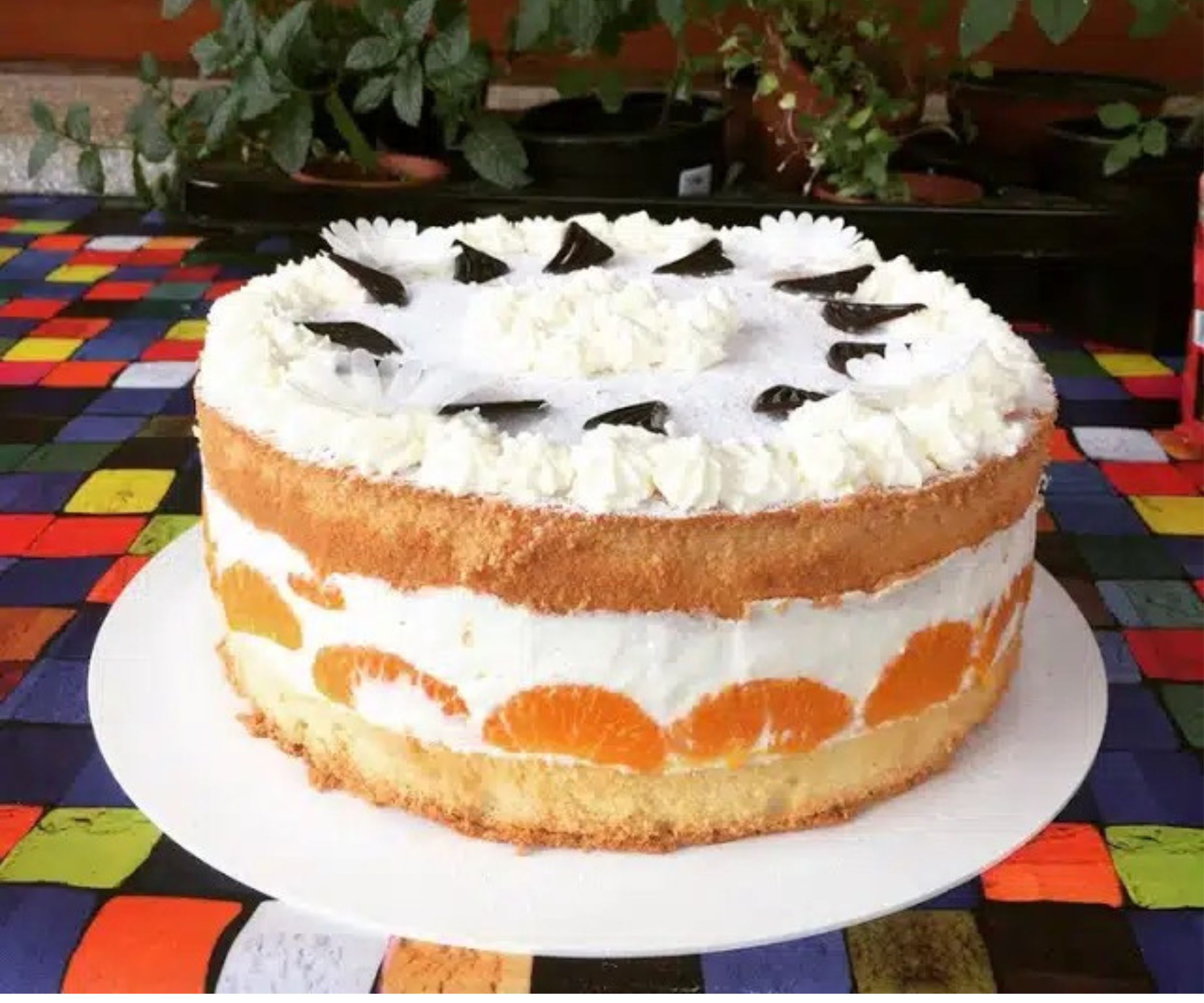 Käse-Sahne-Torte: Eine himmlische Versuchung aus der Backstube