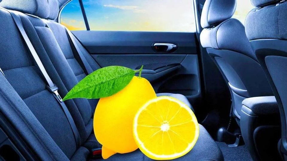 Lassen Sie Zitrone immer im Auto