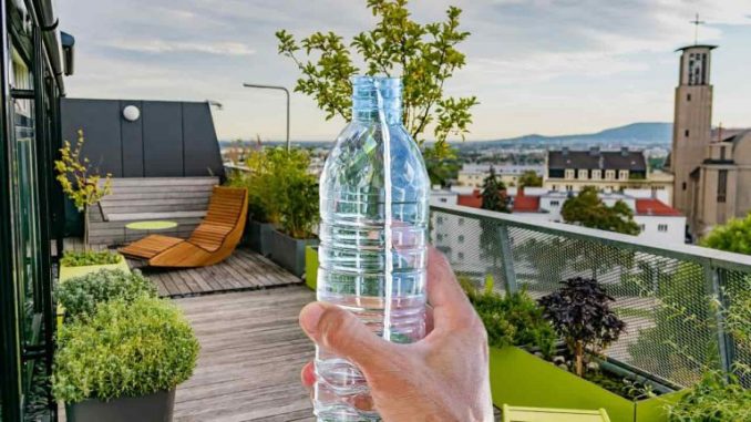 Lassen Sie eine Flasche auf der Terrasse, bevor Sie das Haus verlassen: weil es sehr wichtig ist