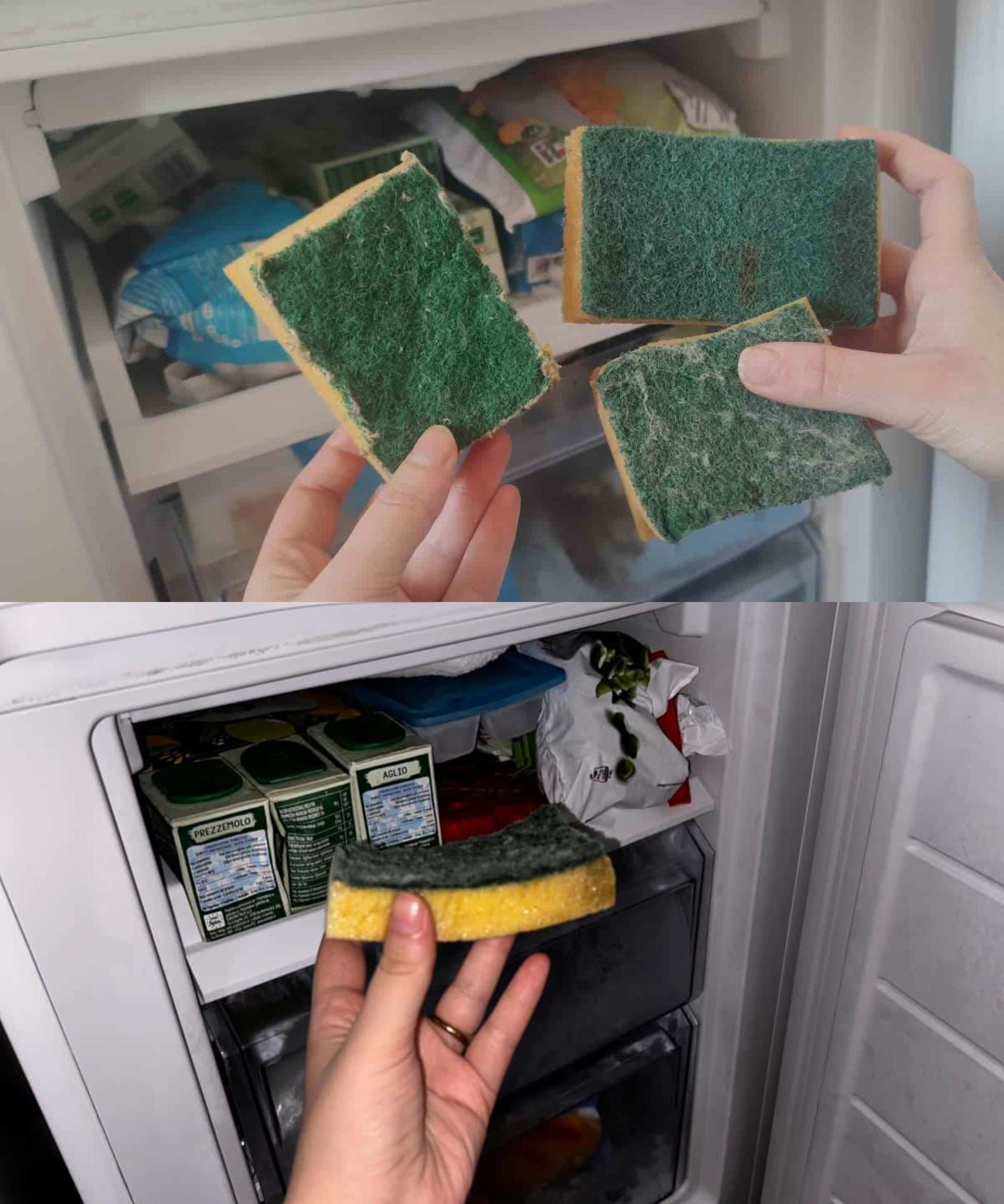 Lassen Sie einen Spülschwamm in Ihrem Gefrierschrank, was passiert, ist unerwartet