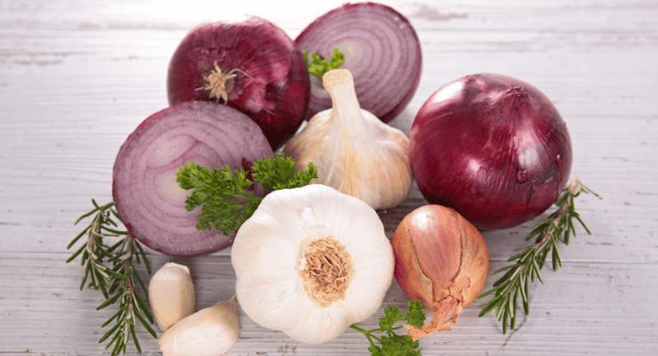 Cipolla e aglio Zwiebel und Knoblauch