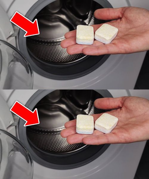 Legen Sie eine Spülmaschinentab in die Waschmaschine: Sie werden es nicht bereuen