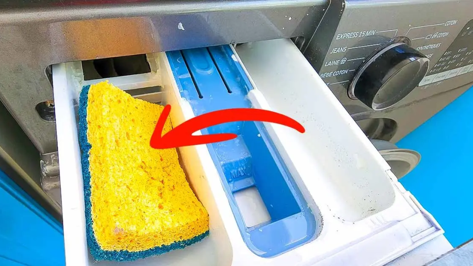 Legen Sie einen Spülschwamm in das Waschmaschinenfach: Es ist die effektive Lösung für ein häufiges Problem
